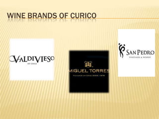 WINE BRANDS OF CURICO