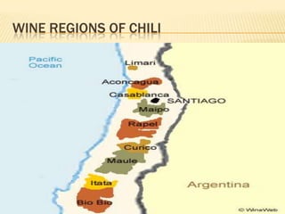WINE REGIONS OF CHILI