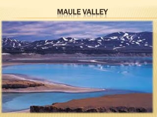 MAULE VALLEY