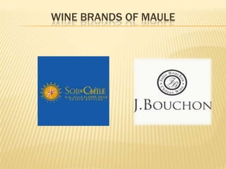 WINE BRANDS OF MAULE