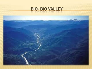 BIO- BIO VALLEY