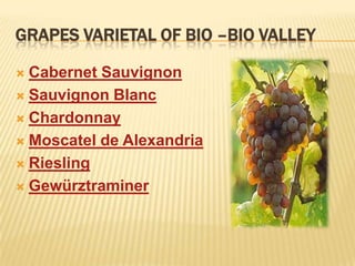 GRAPES VARIETAL OF BIO –BIO VALLEYCabernet SauvignonSauvignon BlancChardonnayMoscatel de AlexandriaRieslingGewürztraminer