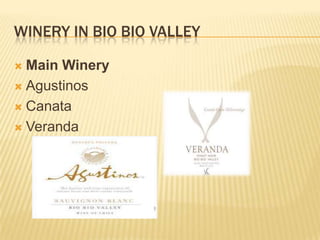 WINERY IN BIO BIO VALLEYMain WineryAgustinosCanataVeranda
