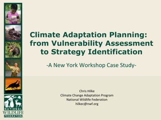 Climate Adaptation Planning:
from Vulnerability Assessment
to Strategy Identification
-A New York Workshop Case Study-
Chris Hilke
Climate Change Adaptation Program
National Wildlife Federation
hilkec@nwf.org
 
