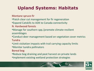 Montane spruce-fir
•Patch clear cut management for fir regeneration
•Expand Catskills to ADK to Canada connectivity
N. Hardwood forests
•Manage for southern spp./promote climate-resilient
assemblages
•Conduct deer management based on vegetation cover metrics
Tundra
•Limit visitation impacts with trail carrying capacity limits
•Monitor tundra pollinators
Boreal bog
•Reduce bog draining and peat harvest on private lands
•Implement existing wetland protection strategies
Upland Systems: Habitats
 