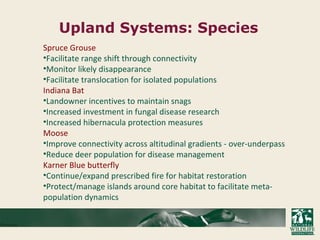 Upland Systems: Species
Spruce Grouse
•Facilitate range shift through connectivity
•Monitor likely disappearance
•Facilitate translocation for isolated populations
Indiana Bat
•Landowner incentives to maintain snags
•Increased investment in fungal disease research
•Increased hibernacula protection measures
Moose
•Improve connectivity across altitudinal gradients - over-underpass
•Reduce deer population for disease management
Karner Blue butterfly
•Continue/expand prescribed fire for habitat restoration
•Protect/manage islands around core habitat to facilitate meta-
population dynamics
 