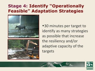 Stage 4: Identify “Operationally
Feasible” Adaptation Strategies
•30 minutes per target to
identify as many strategies
as possible that increase
the resiliency and/or
adaptive capacity of the
targets
FHWA
 