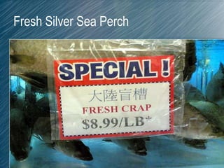 Fresh Silver Sea Perch
 