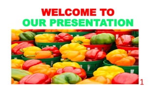 WELCOME TO
OUR PRESENTATION
1
 