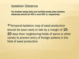 Production Technology of Green Chilli.pptx