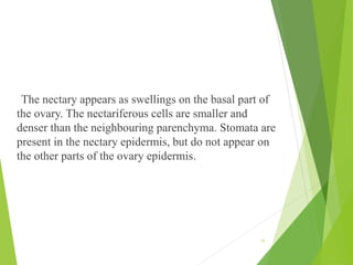 16
The nectary appears as swellings on the basal part of
the ovary. The nectariferous cells are smaller and
denser than the neighbouring parenchyma. Stomata are
present in the nectary epidermis, but do not appear on
the other parts of the ovary epidermis.
 