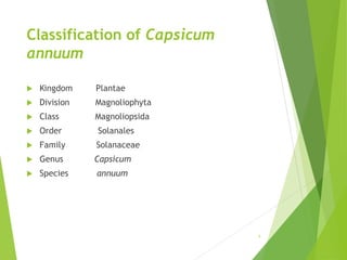 Classification of Capsicum
annuum
 Kingdom Plantae
 Division Magnoliophyta
 Class Magnoliopsida
 Order Solanales
 Family Solanaceae
 Genus Capsicum
 Species annuum
8
 