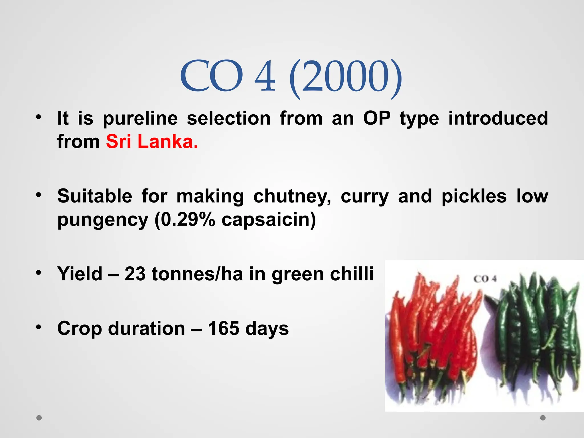CO 4 (2000)
• It is pureline selection from an OP type introduced
from Sri Lanka.
• Suitable for making chutney, curry and pickles low
pungency (0.29% capsaicin)
• Yield – 23 tonnes/ha in green chilli
• Crop duration – 165 days
 