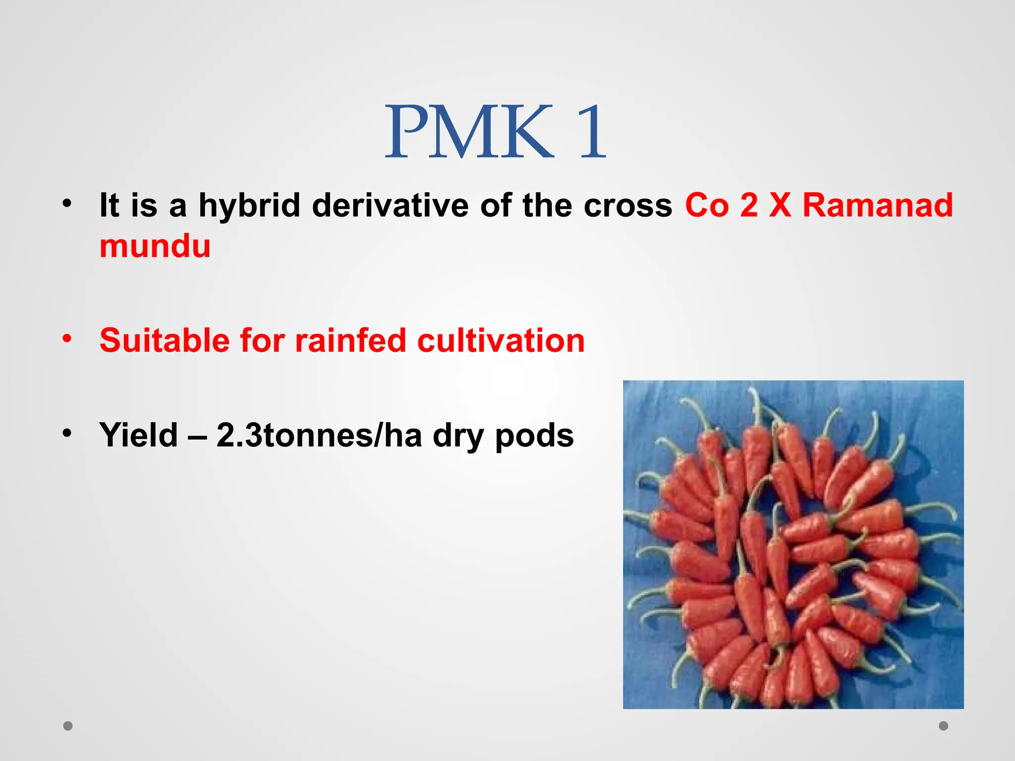 PMK 1
• It is a hybrid derivative of the cross Co 2 X Ramanad
mundu
• Suitable for rainfed cultivation
• Yield – 2.3tonnes/ha dry pods
 