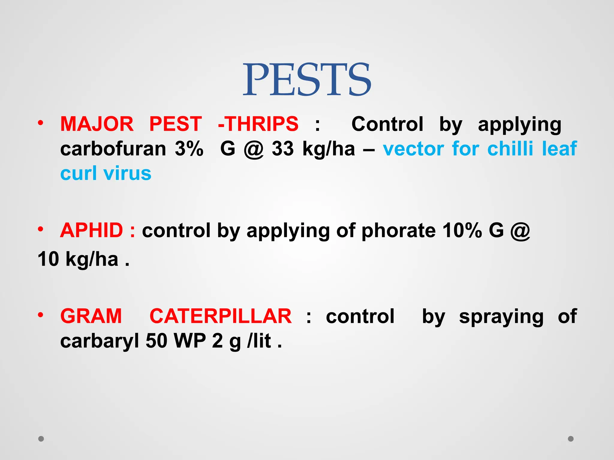 PESTS
• MAJOR PEST -THRIPS : Control by applying
carbofuran 3% G @ 33 kg/ha – vector for chilli leaf
curl virus
• APHID : control by applying of phorate 10% G @
10 kg/ha .
• GRAM CATERPILLAR : control by spraying of
carbaryl 50 WP 2 g /lit .
 