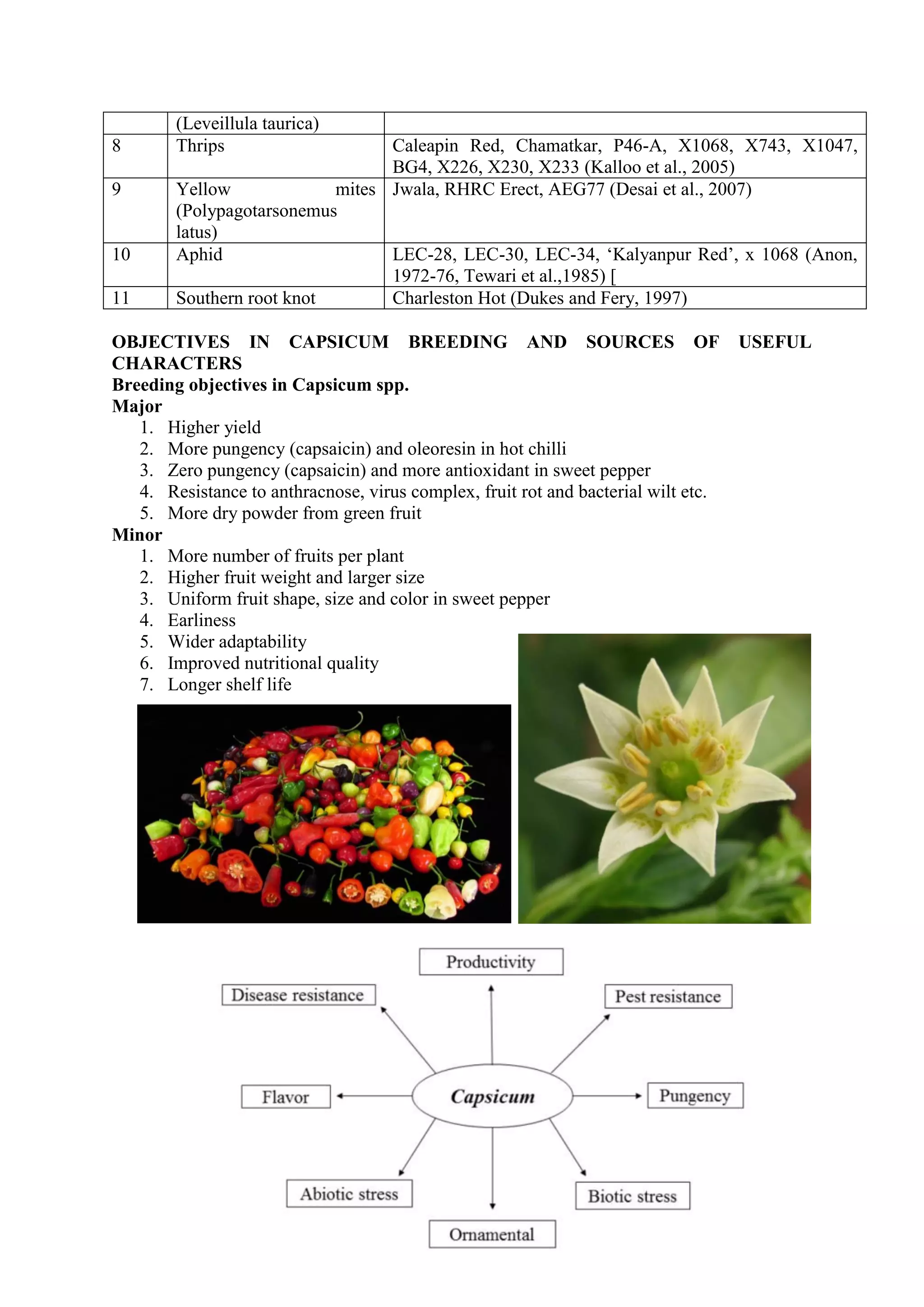 (Leveillula taurica)
8 Thrips Caleapin Red, Chamatkar, P46-A, X1068, X743, X1047,
BG4, X226, X230, X233 (Kalloo et al., 2005)
9 Yellow mites
(Polypagotarsonemus
latus)
Jwala, RHRC Erect, AEG77 (Desai et al., 2007)
10 Aphid LEC-28, LEC-30, LEC-34, ‘Kalyanpur Red’, x 1068 (Anon,
1972-76, Tewari et al.,1985) [
11 Southern root knot Charleston Hot (Dukes and Fery, 1997)
OBJECTIVES IN CAPSICUM BREEDING AND SOURCES OF USEFUL
CHARACTERS
Breeding objectives in Capsicum spp.
Major
1. Higher yield
2. More pungency (capsaicin) and oleoresin in hot chilli
3. Zero pungency (capsaicin) and more antioxidant in sweet pepper
4. Resistance to anthracnose, virus complex, fruit rot and bacterial wilt etc.
5. More dry powder from green fruit
Minor
1. More number of fruits per plant
2. Higher fruit weight and larger size
3. Uniform fruit shape, size and color in sweet pepper
4. Earliness
5. Wider adaptability
6. Improved nutritional quality
7. Longer shelf life
 