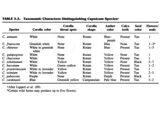Chilli Differentiation Chilli breeding | PPT