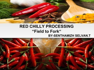 RED CHILLY PROCESSING
“Field to Fork“
BY-SENTHAMIZH SELVAN.T
 