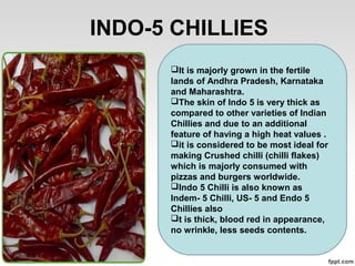RED CHILLY PROCESSING | PPT