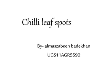 Chilli leaf spots
By- almaszabeen badekhan
UGS11AGR5590
 