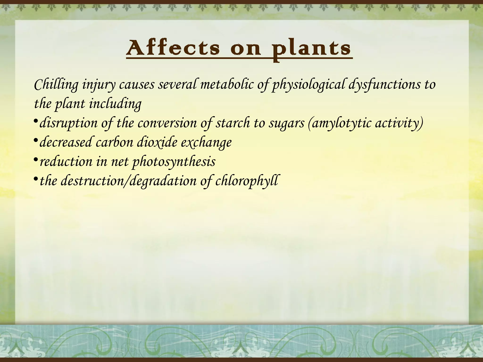 Affects on plants
Chilling injury causes several metabolic of physiological dysfunctions to
the plant including
•disruption of the conversion of starch to sugars (amylotytic activity)
•decreased carbon dioxide exchange
•reduction in net photosynthesis
•the destruction/degradation of chlorophyll

 