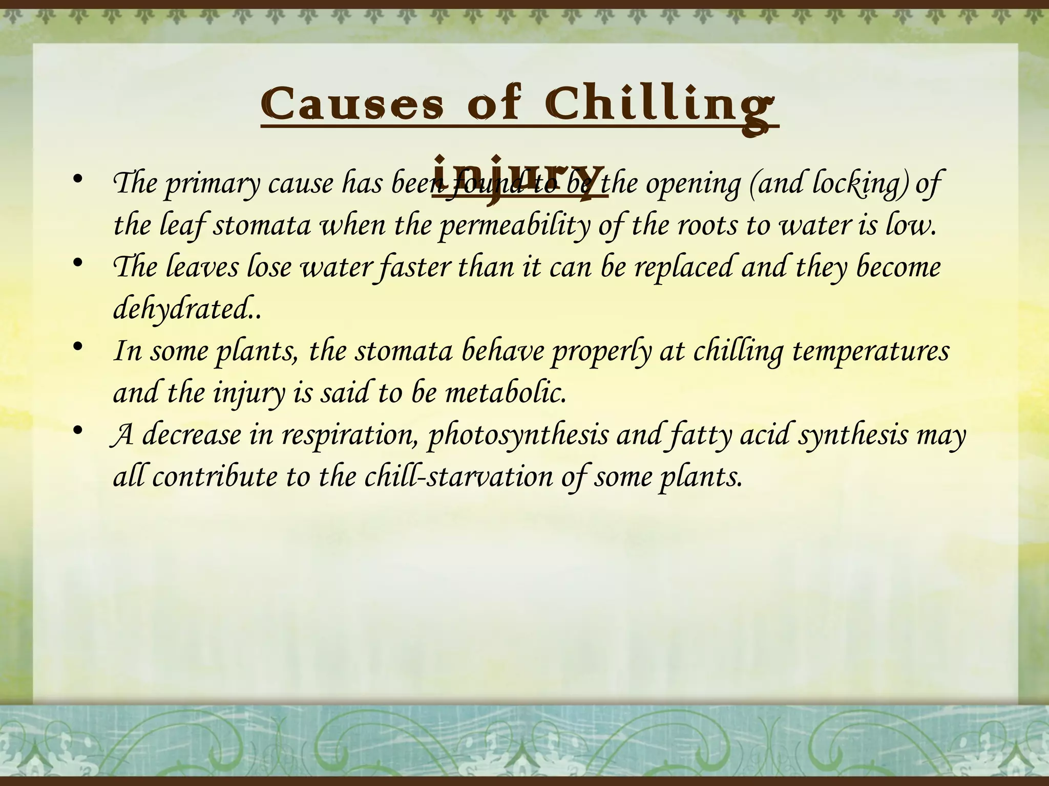 •

Causes of Chilling
injury
The primary cause has been found to be the opening (and locking) of

the leaf stomata when the permeability of the roots to water is low.
• The leaves lose water faster than it can be replaced and they become
dehydrated..
• In some plants, the stomata behave properly at chilling temperatures
and the injury is said to be metabolic.
• A decrease in respiration, photosynthesis and fatty acid synthesis may
all contribute to the chill-starvation of some plants.

 