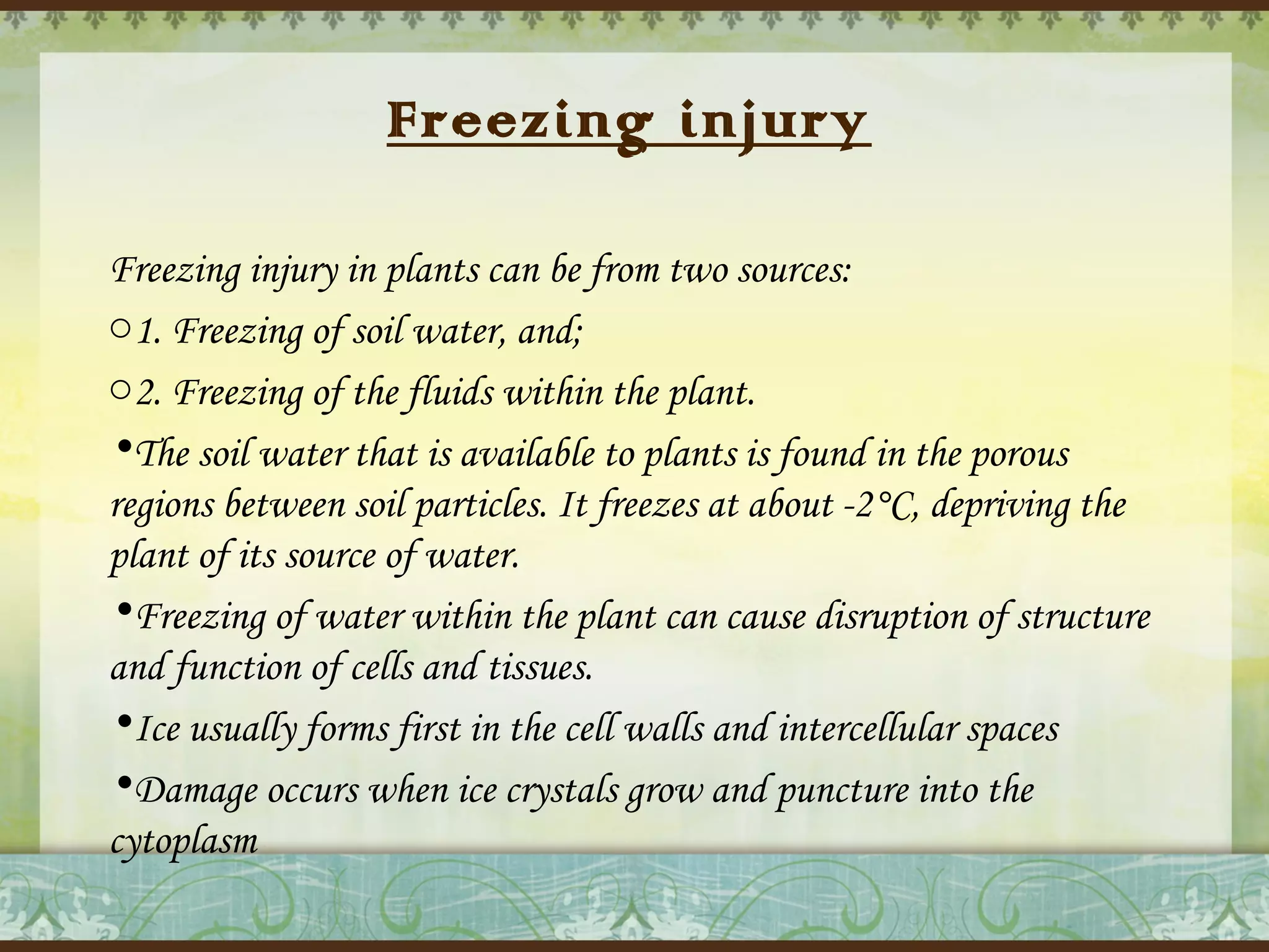 Freezing injury
Freezing injury in plants can be from two sources:
o1. Freezing of soil water, and;
o2. Freezing of the fluids within the plant.
•The soil water that is available to plants is found in the porous
regions between soil particles. It freezes at about -2°C, depriving the
plant of its source of water.
•Freezing of water within the plant can cause disruption of structure
and function of cells and tissues.
•Ice usually forms first in the cell walls and intercellular spaces
•Damage occurs when ice crystals grow and puncture into the
cytoplasm

 