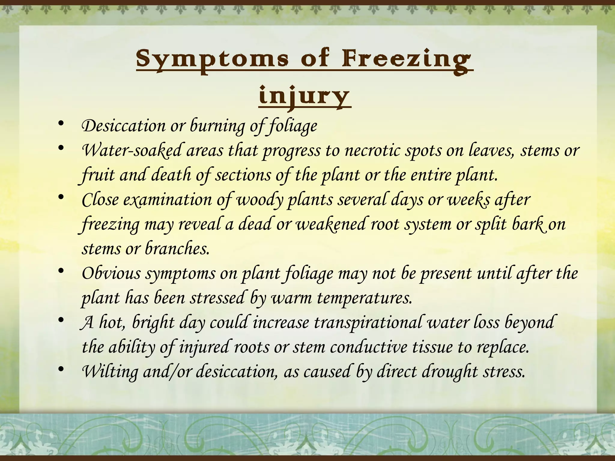 Symptoms of Freezing
injury

• Desiccation or burning of foliage
• Water-soaked areas that progress to necrotic spots on leaves, stems or
fruit and death of sections of the plant or the entire plant.
• Close examination of woody plants several days or weeks after
freezing may reveal a dead or weakened root system or split bark on
stems or branches.
• Obvious symptoms on plant foliage may not be present until after the
plant has been stressed by warm temperatures.
• A hot, bright day could increase transpirational water loss beyond
the ability of injured roots or stem conductive tissue to replace.
• Wilting and/or desiccation, as caused by direct drought stress.

 
