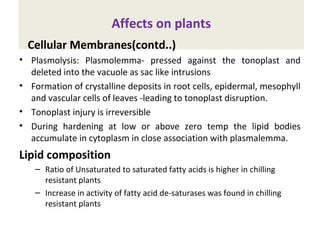 Affects on plants
Cellular Membranes(contd..)
• Plasmolysis: Plasmolemma- pressed against the tonoplast and
deleted into the vacuole as sac like intrusions
• Formation of crystalline deposits in root cells, epidermal, mesophyll
and vascular cells of leaves -leading to tonoplast disruption.
• Tonoplast injury is irreversible
• During hardening at low or above zero temp the lipid bodies
accumulate in cytoplasm in close association with plasmalemma.
Lipid composition
– Ratio of Unsaturated to saturated fatty acids is higher in chilling
resistant plants
– Increase in activity of fatty acid de-saturases was found in chilling
resistant plants
 