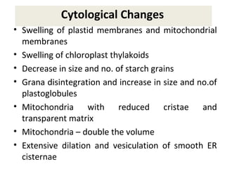 Cytological Changes
• Swelling of plastid membranes and mitochondrial
membranes
• Swelling of chloroplast thylakoids
• Decrease in size and no. of starch grains
• Grana disintegration and increase in size and no.of
plastoglobules
• Mitochondria with reduced cristae and
transparent matrix
• Mitochondria – double the volume
• Extensive dilation and vesiculation of smooth ER
cisternae
 
