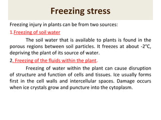Freezing stress
Freezing injury in plants can be from two sources:
1.Freezing of soil water
The soil water that is available to plants is found in the
porous regions between soil particles. It freezes at about -2°C,
depriving the plant of its source of water.
2. Freezing of the fluids within the plant.
Freezing of water within the plant can cause disruption
of structure and function of cells and tissues. Ice usually forms
first in the cell walls and intercellular spaces. Damage occurs
when ice crystals grow and puncture into the cytoplasm.
 