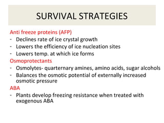 SURVIVAL STRATEGIES
Anti freeze proteins (AFP)
- Declines rate of ice crystal growth
- Lowers the efficiency of ice nucleation sites
- Lowers temp. at which ice forms
Osmoprotectants
- Osmolytes- quarternary amines, amino acids, sugar alcohols
- Balances the osmotic potential of externally increased
osmotic pressure
ABA
- Plants develop freezing resistance when treated with
exogenous ABA
 