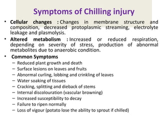 Symptoms of Chilling injury
• Cellular changes : Changes in membrane structure and
composition, decreased protoplasmic streaming, electrolyte
leakage and plasmolysis.
• Altered metabolism : Increased or reduced respiration,
depending on severity of stress, production of abnormal
metabolites due to anaerobic condition.
• Common Symptoms
– Reduced plant growth and death
– Surface lesions on leaves and fruits
– Abnormal curling, lobbing and crinkling of leaves
– Water soaking of tissues
– Cracking, splitting and dieback of stems
– Internal discolouration (vascular browning)
– Increased susceptibility to decay
– Failure to ripen normally
– Loss of vigour (potato lose the ability to sprout if chilled)
 