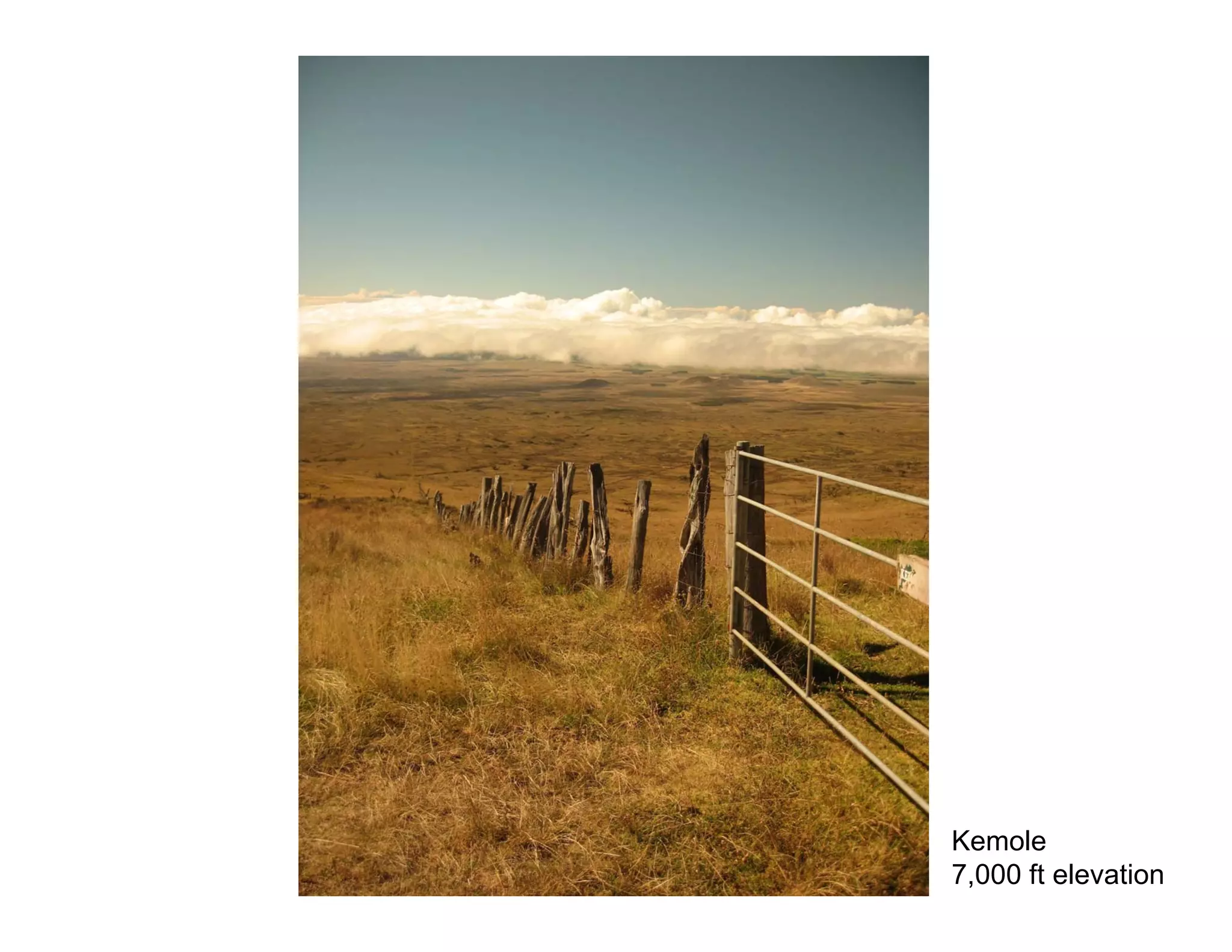 Kemole
7,000 ft elevation
 