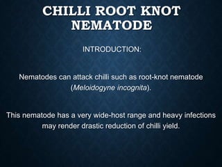 CHILLI ROOT KNOT
NEMATODE
INTRODUCTION:
Nematodes can attack chilli such as root-knot nematode
(Meloidogyne incognita).
This nematode has a very wide-host range and heavy infections
may render drastic reduction of chilli yield.
 