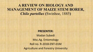 A REVIEW ON BIOLOGY AND
MANAGEMENT OF MAIZE STEM BORER,
Chilo partellus (Swinhoe, 1885)
PRESENTER:
Madan Subedi
Msc.Ag. Entomology
Roll no. R-2018-ENT-01M
Agriculture and Forestry University
 