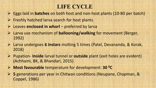 LIFE CYCLE
 Eggs laid in batches on both host and non-host plants (10-80 per batch)
 Freshly hatched larva search for host plants
 Leaves enclosed in whorl – preferred by larva
 Larva use mechanism of ballooning/walking for movement (Berger,
1992)
 Larva undergoes 6 instars molting 5 times (Patel, Devananda, & Korak,
2018)
 Pupation- Inside larval tunnel or outside plant (exit holes are evident)
(Achhami, BK, & Bhandari, 2015)
 Most favourable temperature for development: 30 0C
 5 generations per year in Chitwan conditions (Neupane, Chapman, &
Coppel, 1986)
 