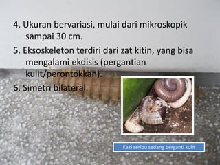 4. Ukuran bervariasi, mulai dari mikroskopik
sampai 30 cm.
5. Eksoskeleton terdiri dari zat kitin, yang bisa
mengalami ekdisis (pergantian
kulit/perontokkan).
6. Simetri bilateral.
Kaki seribu sedang berganti kulit
 