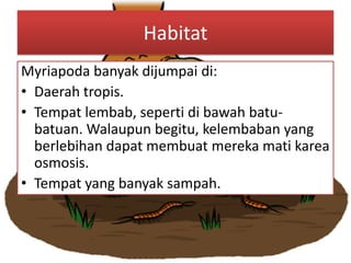 Habitat
Myriapoda banyak dijumpai di:
• Daerah tropis.
• Tempat lembab, seperti di bawah batu-
batuan. Walaupun begitu, kelembaban yang
berlebihan dapat membuat mereka mati karea
osmosis.
• Tempat yang banyak sampah.
 