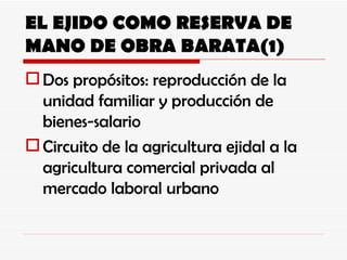 EL EJIDO COMO RESERVA DE MANO DE OBRA BARATA(1) Dos propósitos: reproducción de la unidad familiar y producción de bienes-salario Circuito de la agricultura ejidal a la agricultura comercial privada al mercado laboral urbano 