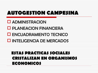 AUTOGESTION CAMPESINA ADMINISTRACION PLANEACION FINANCIERA ENCUADRAMIENTO TECNICO INTELIGENCIA DE MERCADOS ESTAS PRACTICAS SOCIALES CRISTALIZAN EN ORGANISMOS ECONOMICOS 