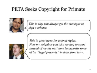 66
PETA Seeks Copyright for Primate
This is great news for animal rights.
Now my neighbor can take my dog to court
instead...