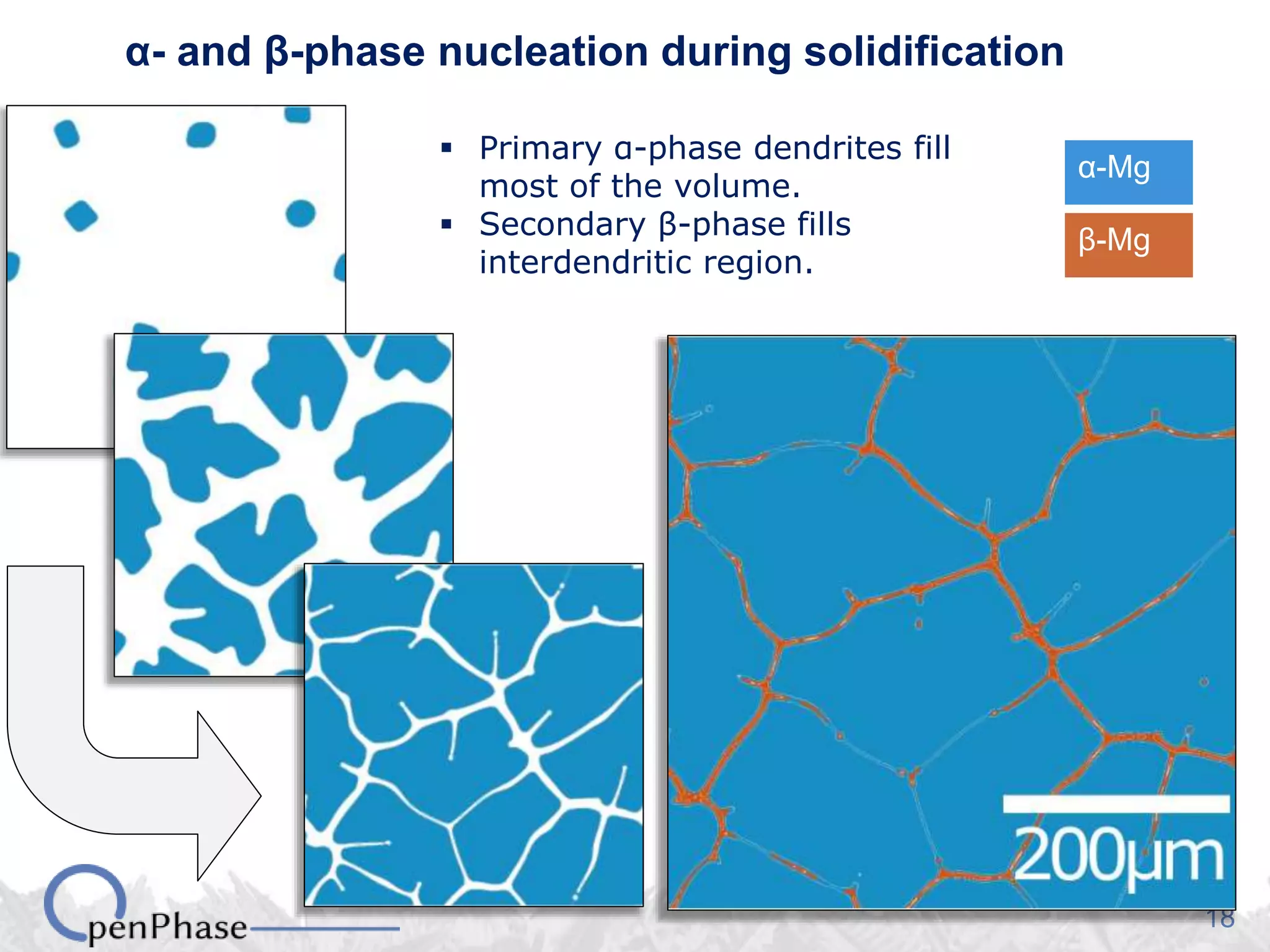 18
α- and β-phase nucleation during solidification
α-Mg
β-Mg
 Primary α-phase dendrites fill
most of the volume.
 Secondary β-phase fills
interdendritic region.
 