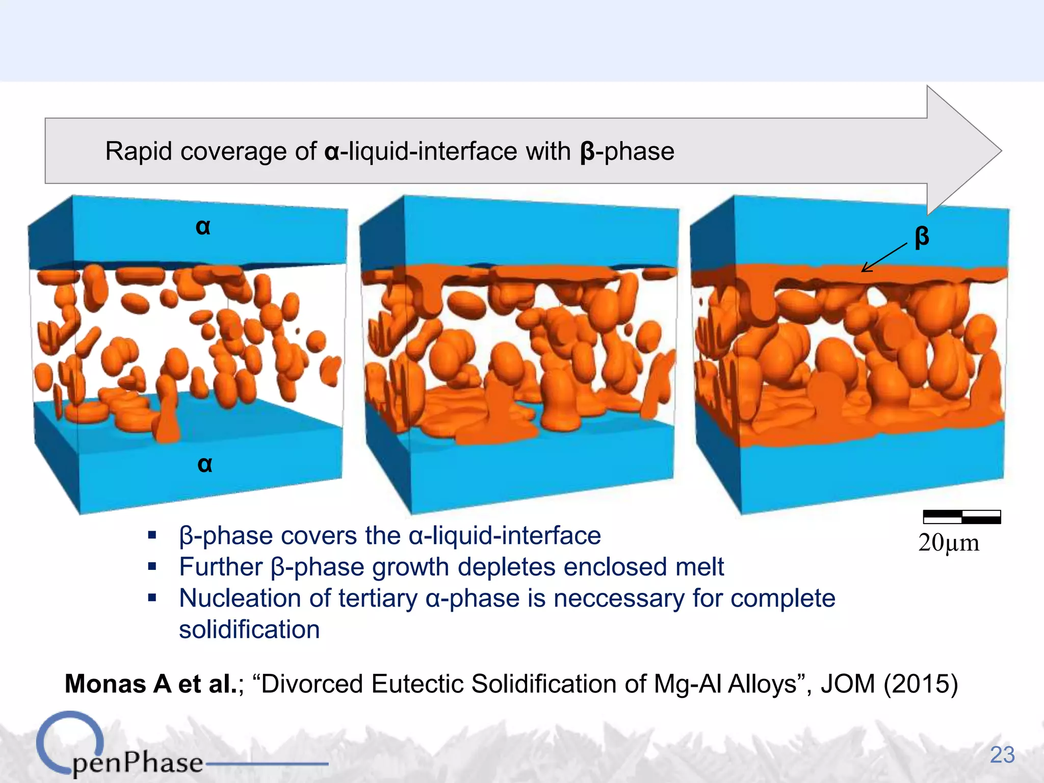 23
α
α
β
20µm
Rapid coverage of α-liquid-interface with β-phase
 β-phase covers the α-liquid-interface
 Further β-phase growth depletes enclosed melt
 Nucleation of tertiary α-phase is neccessary for complete
solidification
Monas A et al.; “Divorced Eutectic Solidification of Mg-Al Alloys”, JOM (2015)
 