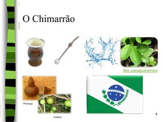 No desenvolvimento
da história do Paraná,
a Ilex Paraguariensis
foi responsável pelo
crescimento econômico,
social e político do estado.
O Chimarrão
Ilex paraguariensis
4
Cuieira
Porongo
 