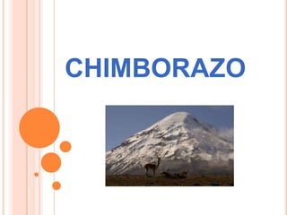 CHIMBORAZO
 