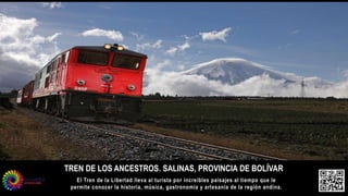 El Tren de la Libertad lleva al turista por increíbles paisajes al tiempo que le
permite conocer la historia, música, gastronomía y artesanía de la región andina.
TREN DE LOS ANCESTROS. SALINAS, PROVINCIA DE BOLÍVAR
 