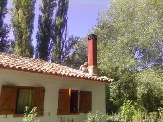 Chimenea agosto 2010