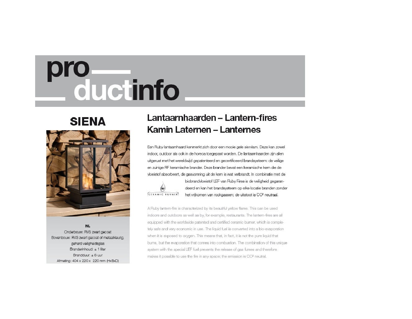 Chimeneas de exterior_enero_2011