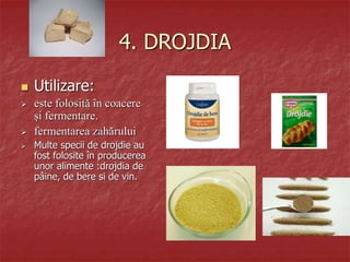 4. DROJDIA
 Utilizare:
 este folosită în coacere
și fermentare.
 fermentarea zahărului
 Multe specii de drojdie au
fost folosite în producerea
unor alimente :drojdia de
pâine, de bere si de vin.
 